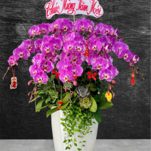 Hoa Sự Kiện 01