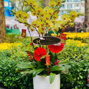 Chúc Mừng Năm Mới 05