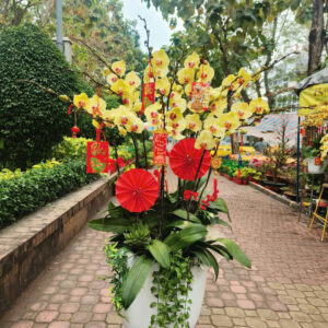Chúc Mừng Năm Mới 08