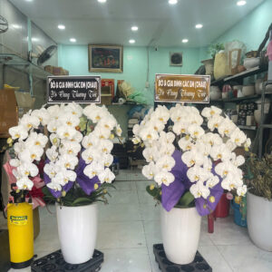 Hoa Chia Buồn 03