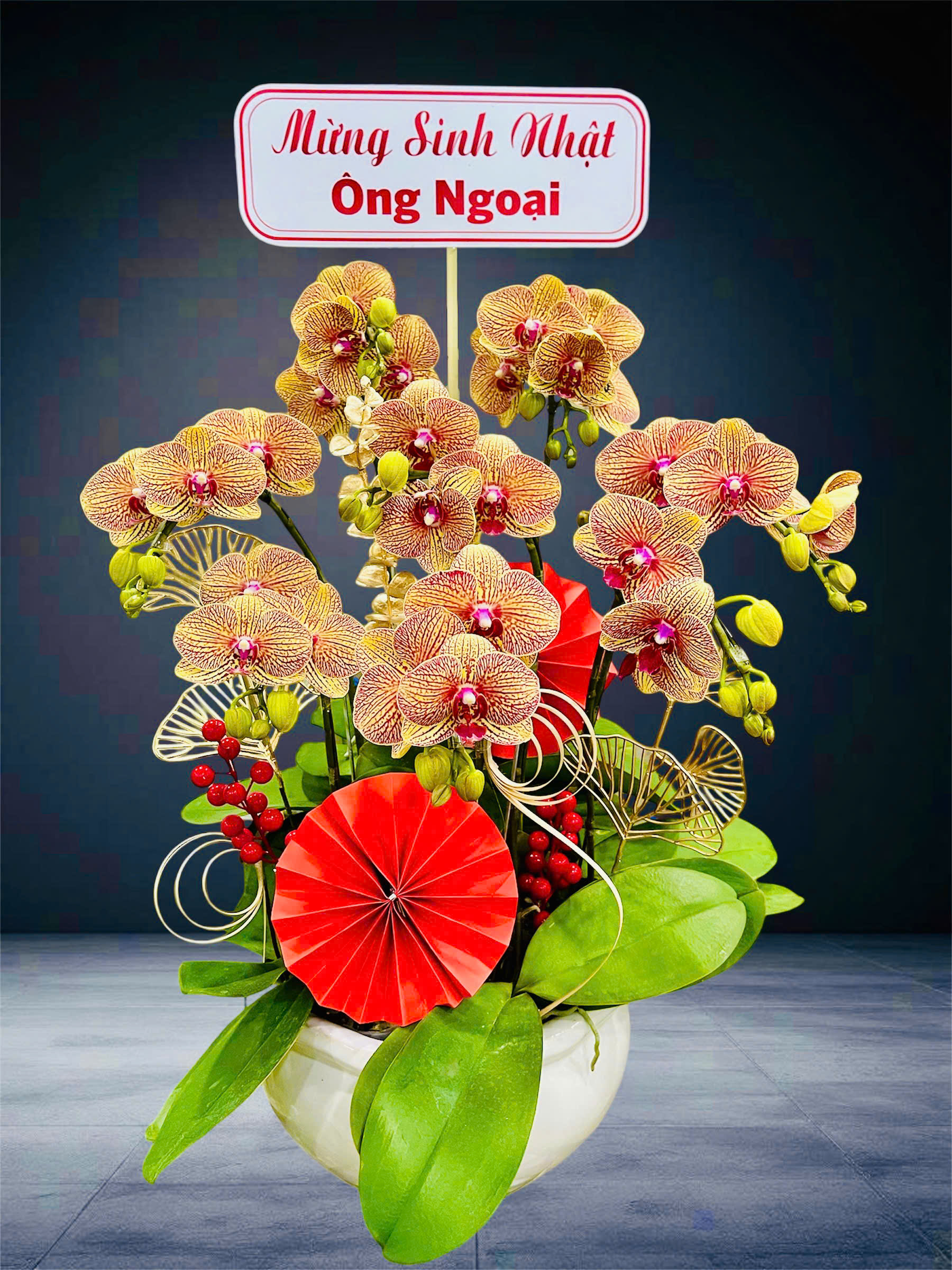 Hồ Điệp Chậu Nhỏ 16