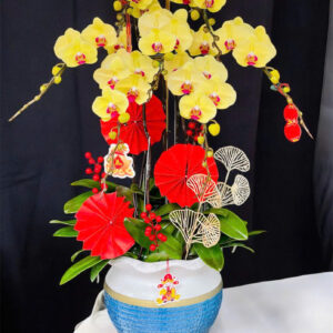 Hồ Điệp Chậu Vừa 22