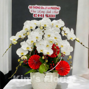 Hồ Điệp Chậu Vừa 26