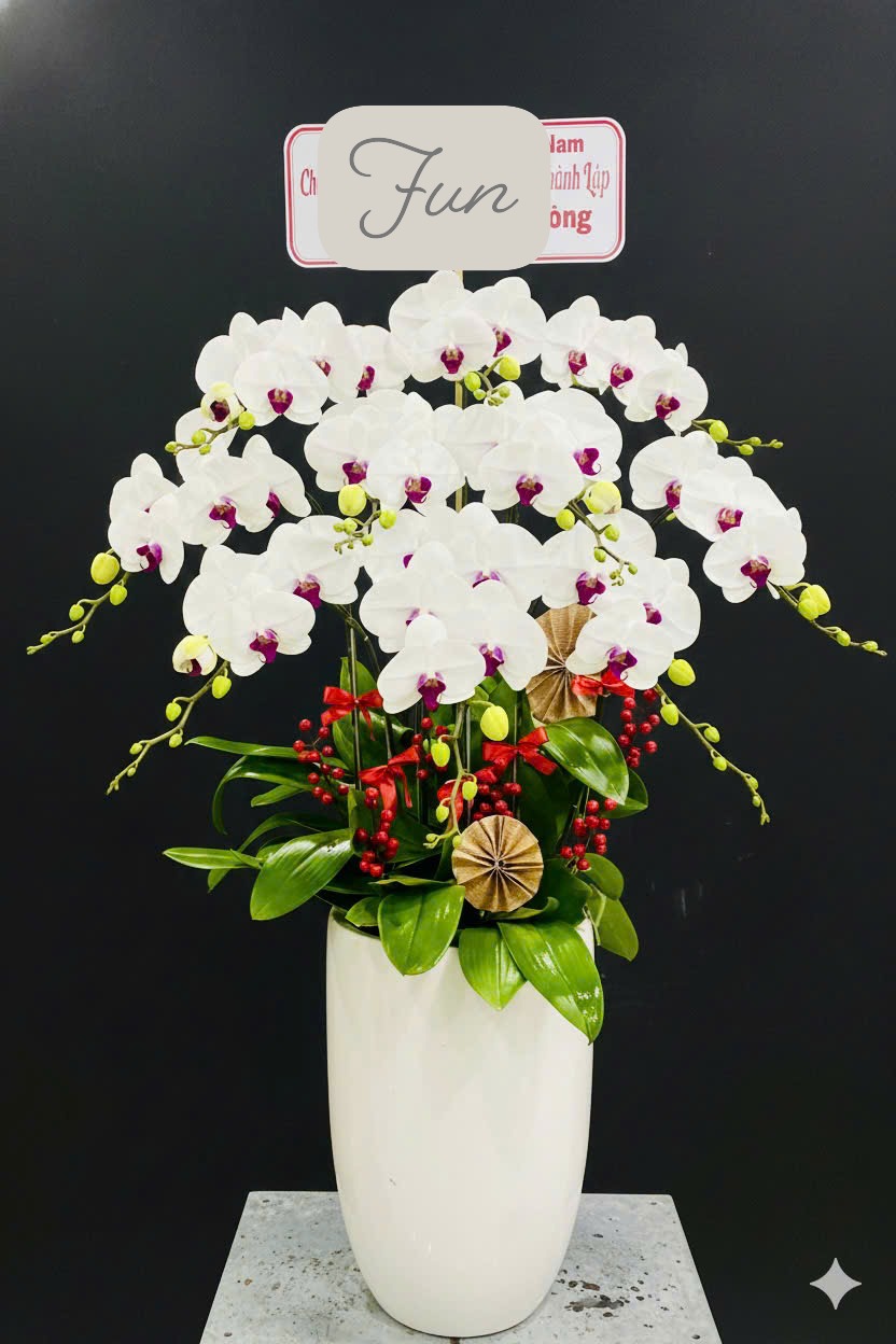 Hồ Điệp Chậu Vừa 28