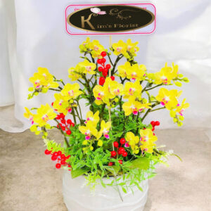 Chậu Lan Mini 09