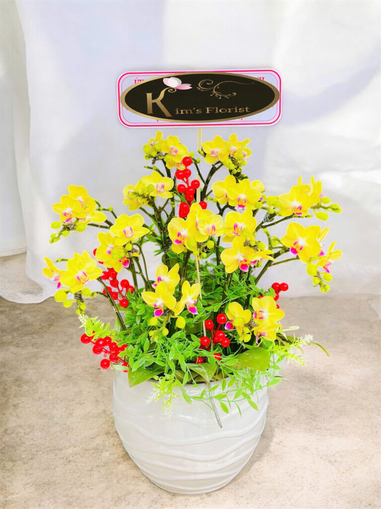 Chậu Lan Mini 09