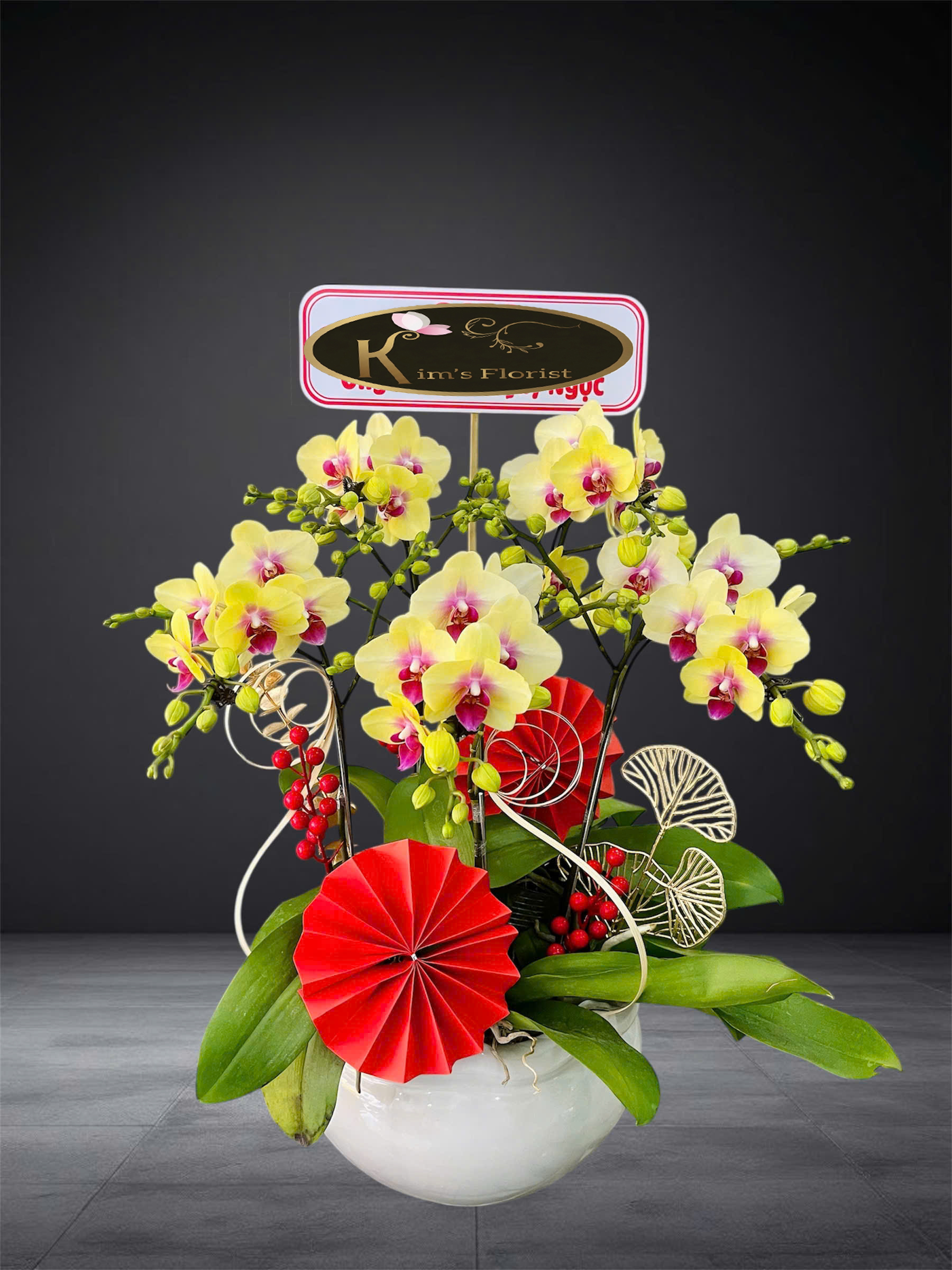 Chậu Lan Mini 15